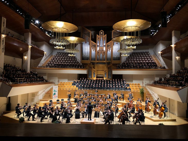 ¿Cuántos tipos de auditorio hay?
